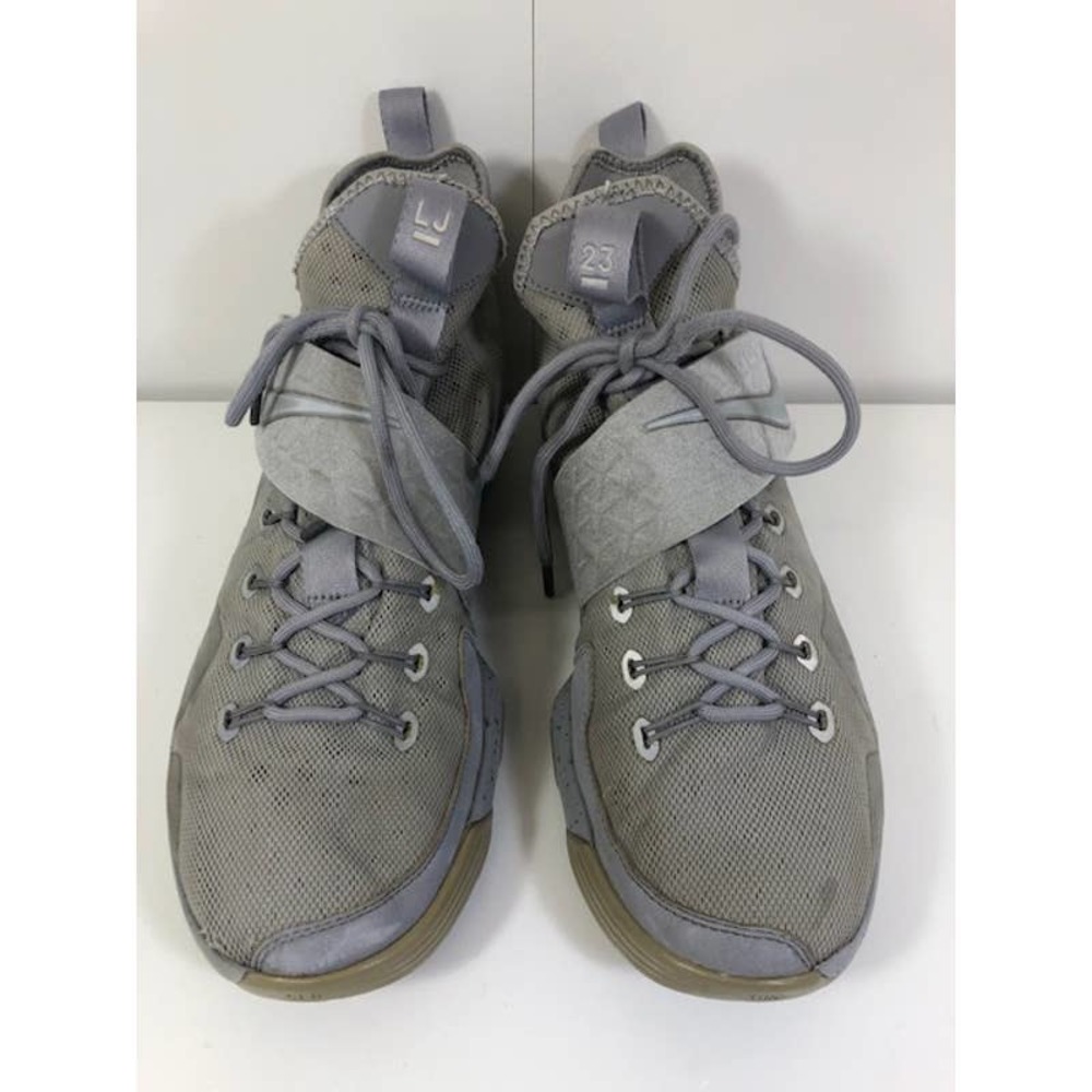Nike LeBron XIV Basketball Shoes Sneakers Silver/Reflect Men's US 11.5